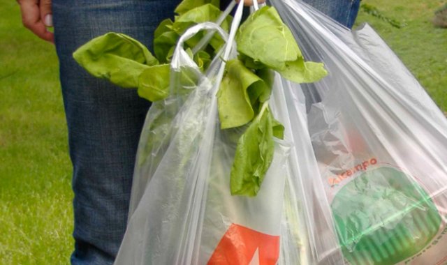 Internet | Referencial