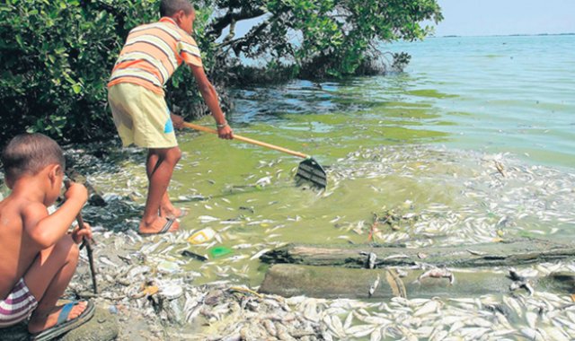 Hoy Diario del Magdalena