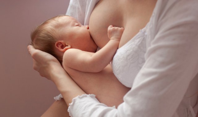 Internet | Referencial