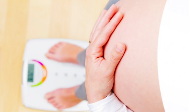 Internet | Referencial