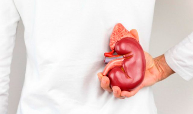 En Colombia hay cerca de 2.500 pacientes en lista de espera. La mayoría (2.085) esperan trasplante de riñón. Colprensa