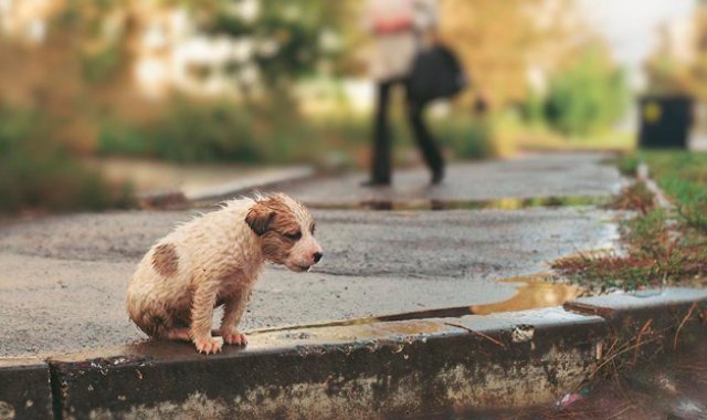 Internet | Referencial