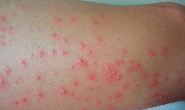 Internet | Referencial