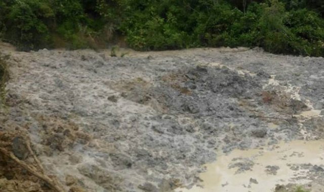 Cortesía para La Opinión