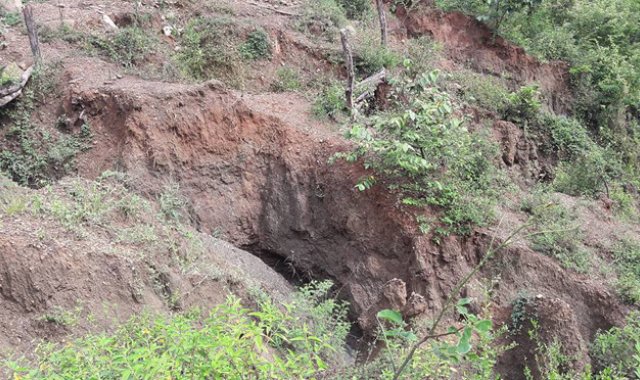 El deterioro de la cobertura vegetal en Santiago preocupa a las autoridades. Cortesía