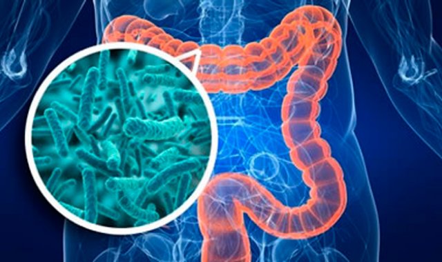 Instituto Nutrigenomica