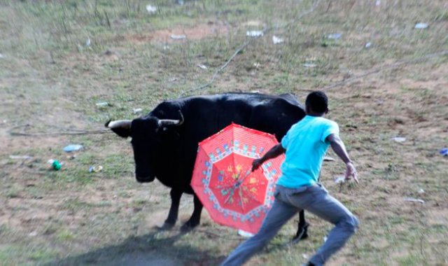 Archivo | Referencial