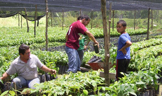 Archivo de La Opinión