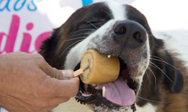 Luis Alfredo Estévez