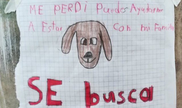 Twitter @mariatecaste