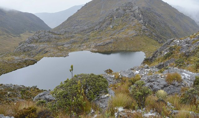 Archivo de La Opinión