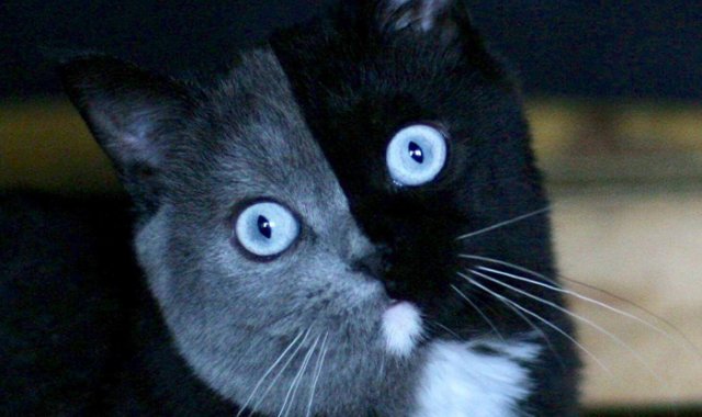 Instagram @amazingnarnia