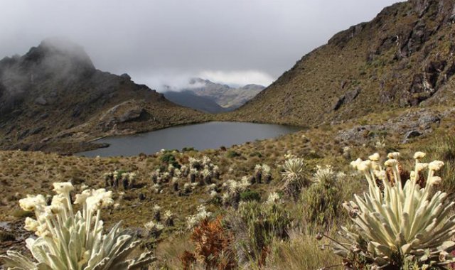 Archivo de La Opinión