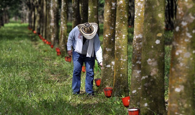 Archivo de La Opinión
