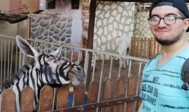 Facebook Mahmoud A. Sarhan