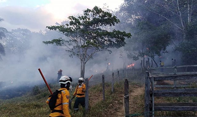 Hasta el momento no se reportan afectados por el incendio.
Gobernación de Norte de Santander
