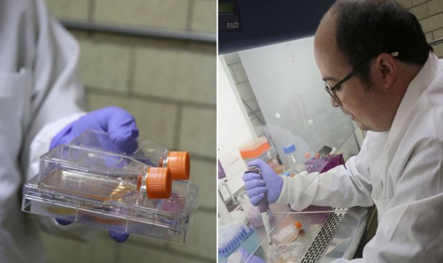 El propósito de la investigación es generar una nueva vacuna porque las actuales utilizan moléculas llamadas adyuvantes que ocasionan alteraciones. Tomada de Twitter @IPN_MX