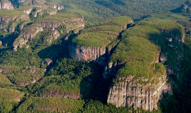 Está considerado como el mayor parque de Colombia y es conocido como centro sagrado indígena, cuna del jaguar y tesoro arqueológico y biológico. Internet