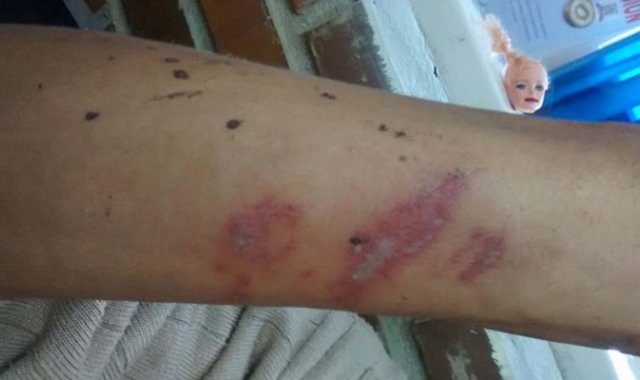 Roberto Ospino / La Opinión