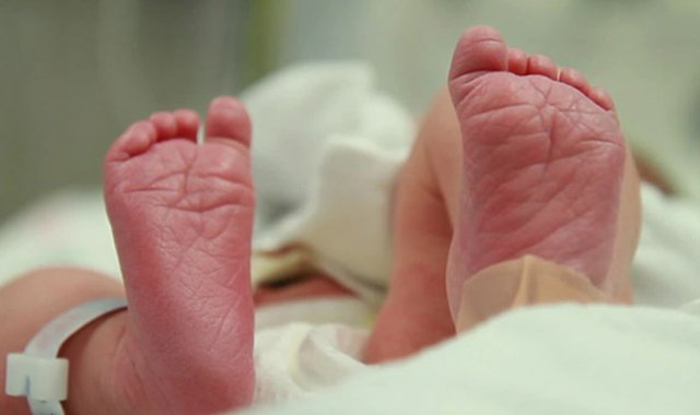 Internet / Referencial