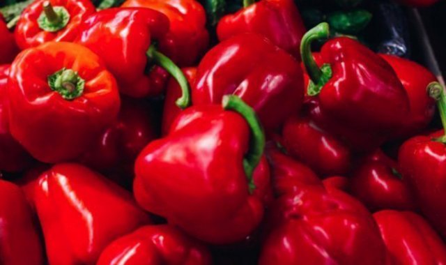 Internet / Referencial