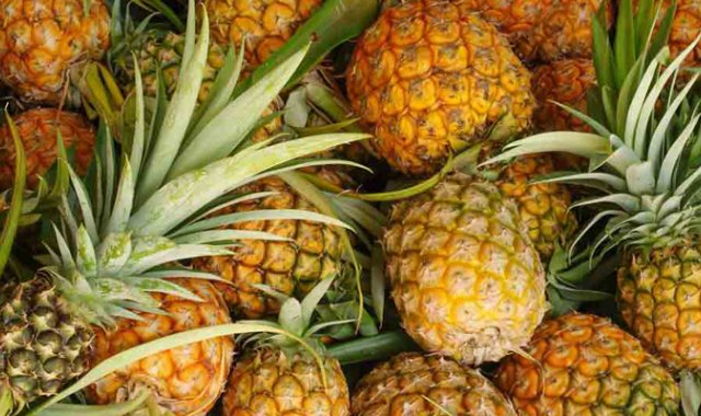 La economía de Aguabonita se centra en la producción agrícola, fundamentalmente de piña. Internet