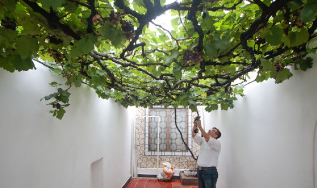 La corporación Cuna de Colombia rescata las tradiciones del pueblo histórico. Mario Franco