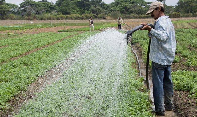 Archivo / La Opinión