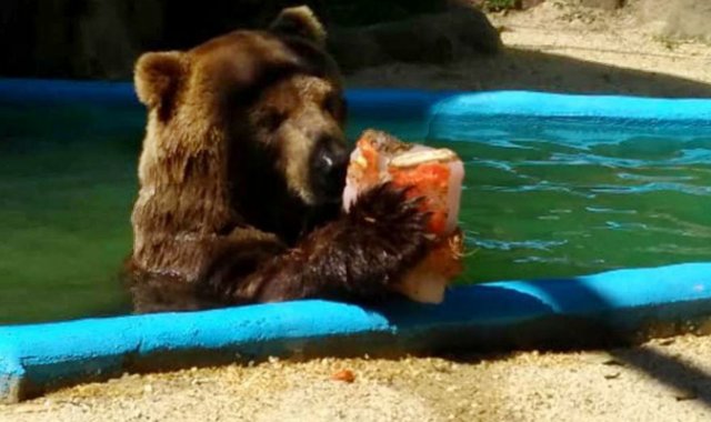 Jardín Zoológico de Río de Janeiro