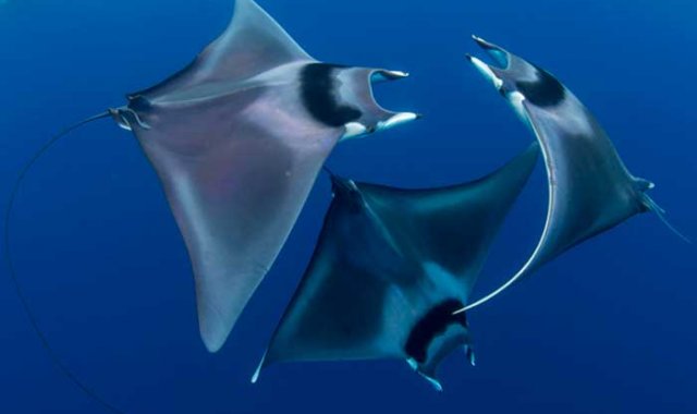 Duncan Murrell / uwphotographyguide