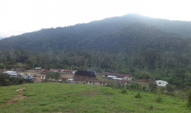 Cortesía / La Opinión