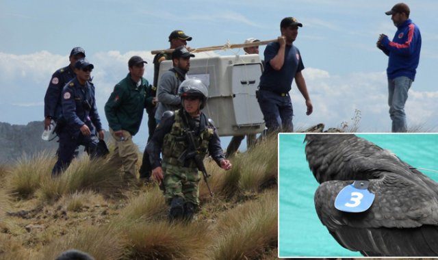 Cortesía Alberto Peña