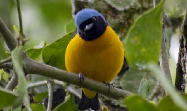 Cortesía de Wilson Ortega