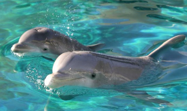 Colprensa / Referencial