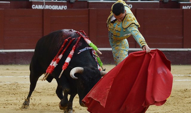 Segunda corrida de abono en Bogotá Colprensa