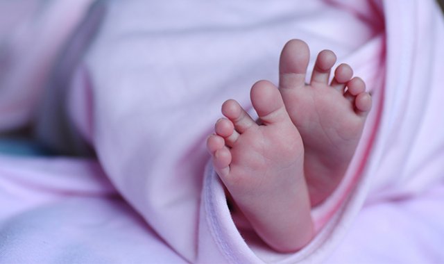 Pixabay / Referencial