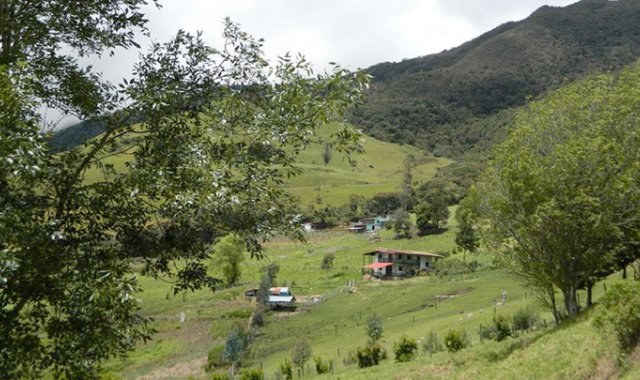 “No estoy diciendo que paguen de más, sino lo justo... Si tienen para la cabaña y para el whisky, que paguen el impuesto”, señaló la alcaldesa de Chinácota, Nubia Romero. Tomada de Facebook