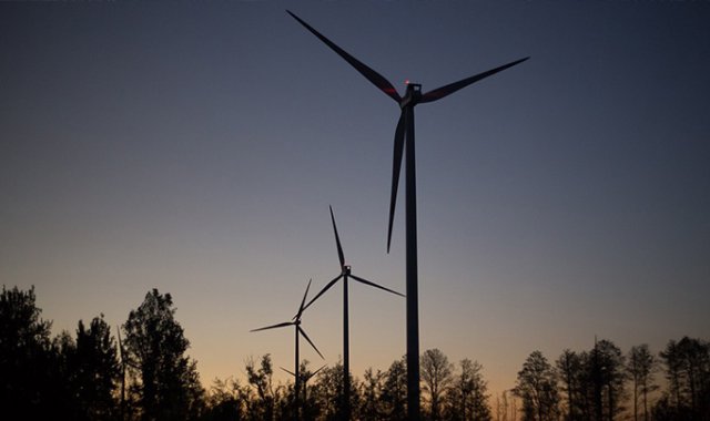 Pixabay / Referencial 