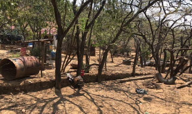 Orlando Carvajal / La Opinión 