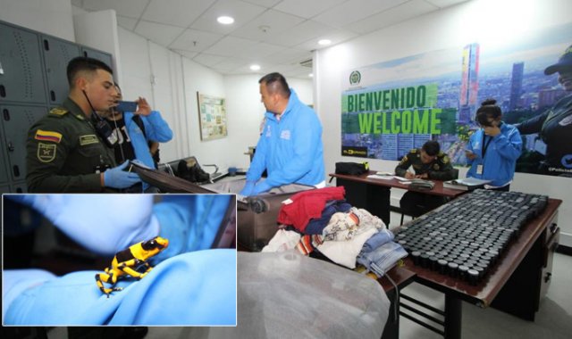 Tomada de Twitter @Ambientebogota