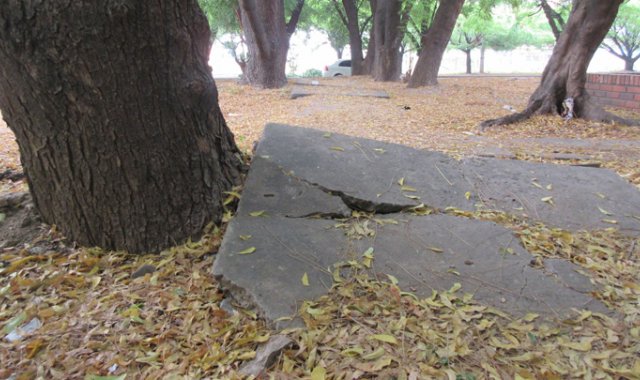 César Obando / La Opinión 