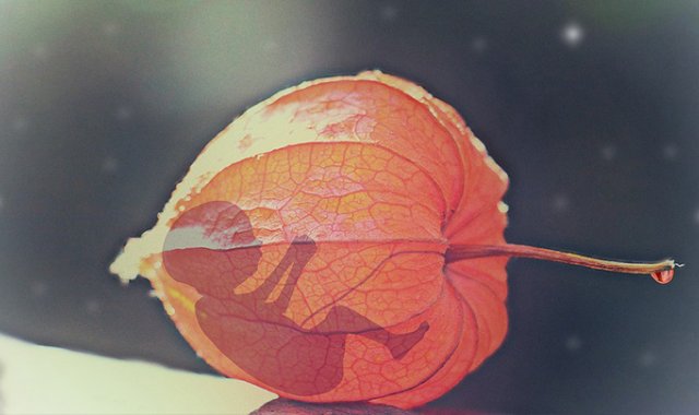 Pixabay / Referencial