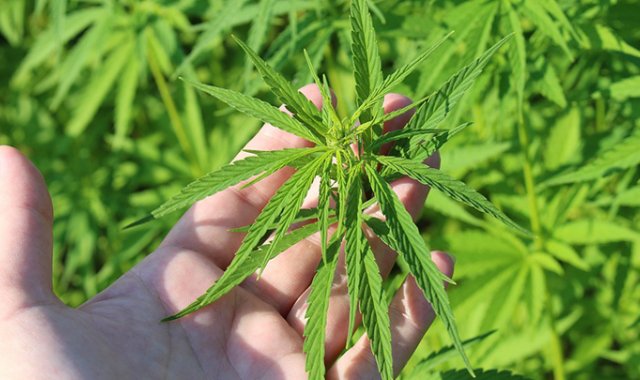 Pixabay / Referencial