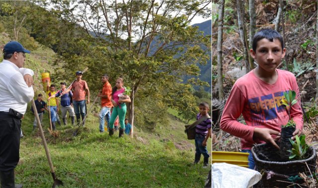 En una finca de la vereda Chicaguá Alto, el grupo de voluntarios se reúne al inicio del día y pasadas las 2:00 pm para almorzar. Las semillas de los árboles se empezaron a sembrar en un germinadero construido cerca a la reserva. Cortesía Johesis Cárdenas