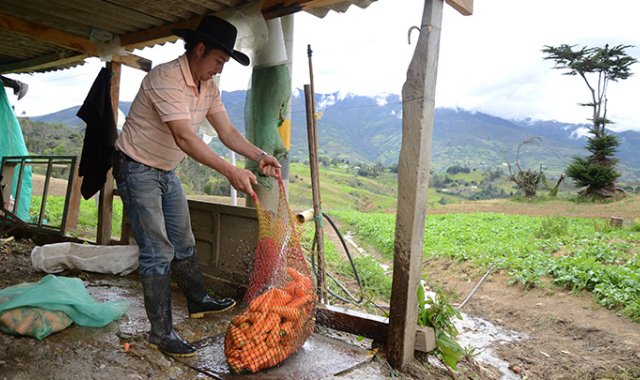 Archivo / La Opinión