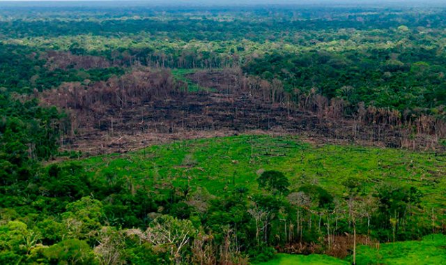 Efraín Herrera - Presidencia de Colombia