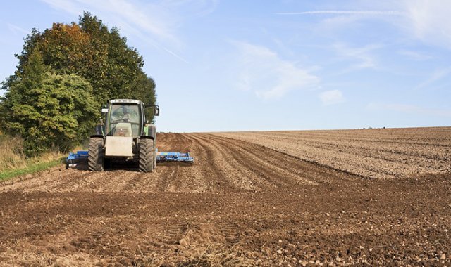 Pixabay / Referencial