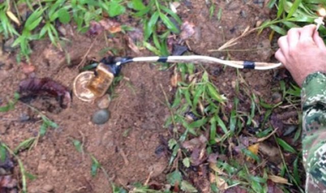 Cortesía para La Opinión