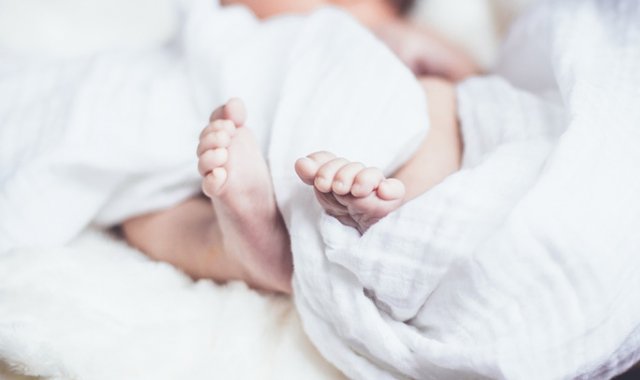 Pixabay / Referencial