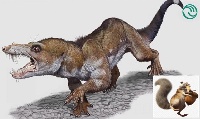 Los investigadores piensan que la especie debió alimentarse de insectos y animales más pequeños. Captura de video